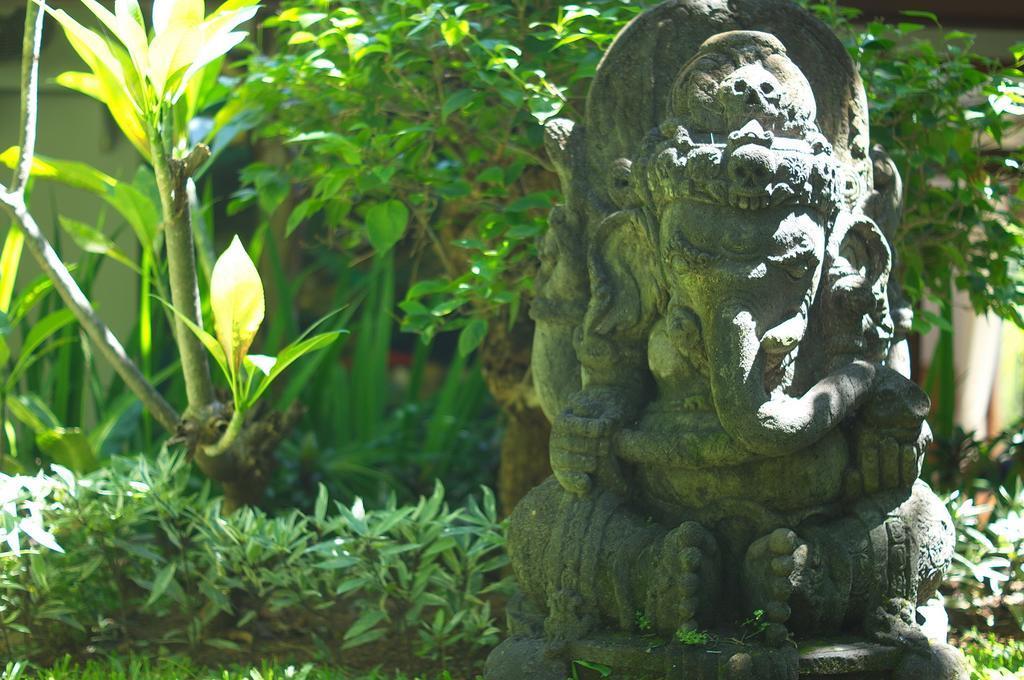 Indo Rumah Zengarden Булеленг Номер фото