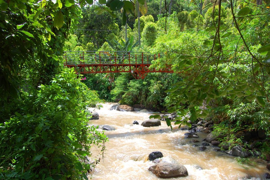 Indo Rumah Zengarden Булеленг Экстерьер фото