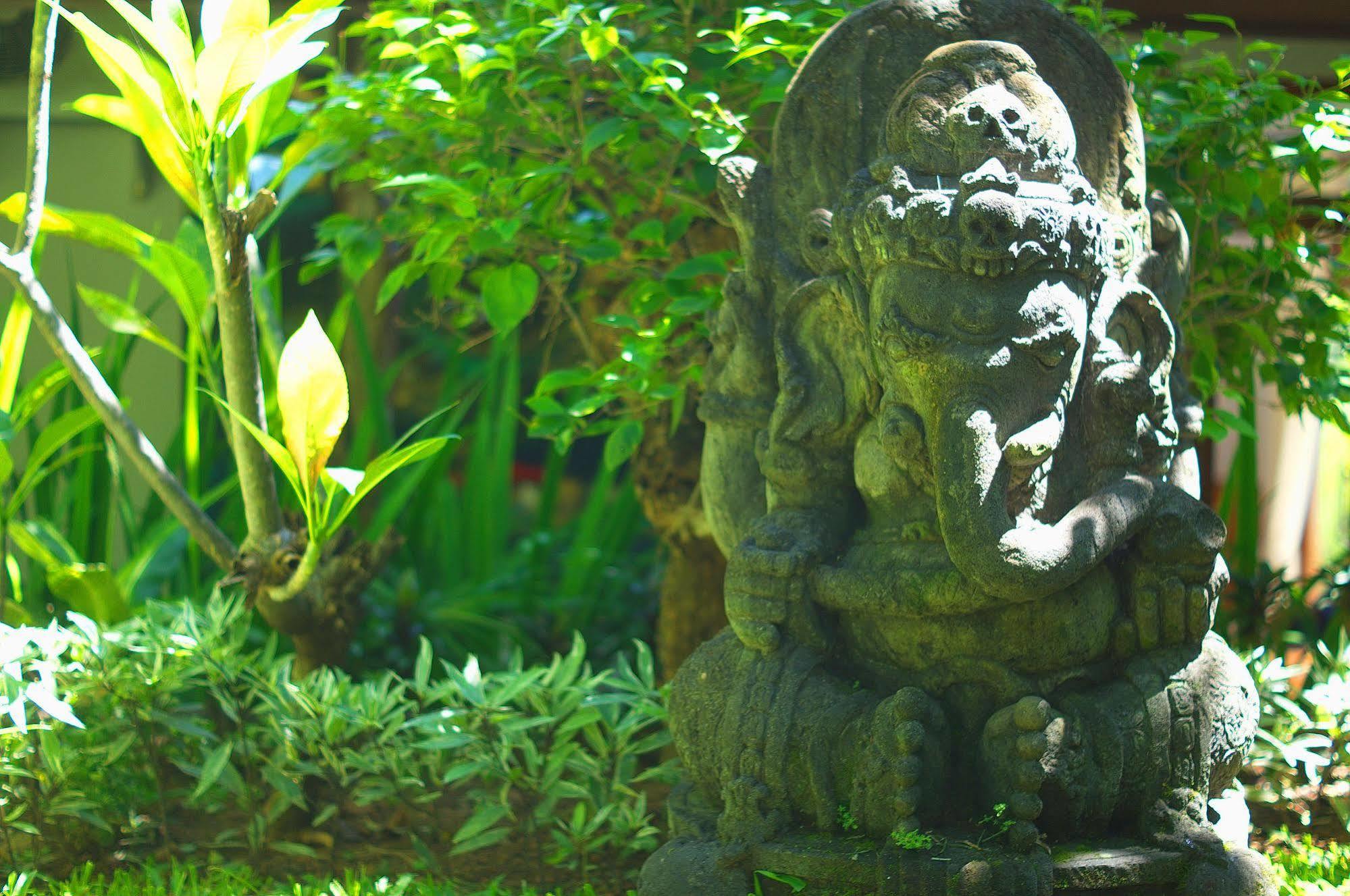 Indo Rumah Zengarden Булеленг Экстерьер фото